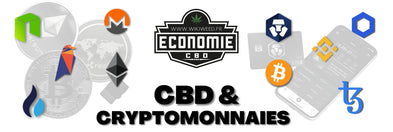 CBD & Cryptomonnaies : la course au numérique