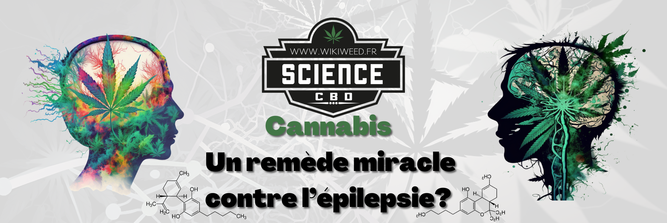 Cannabis: Le remède miracle contre l’épilepsie?
