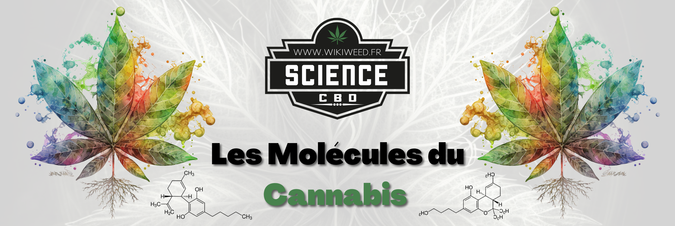 Les Molécules du Cannabis, Chanvre.