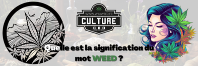 Que veut dire le mot 'Weed' ?