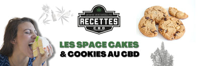 Space cake & cookie au CBD : recettes & bienfaits