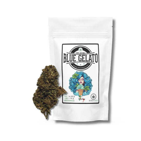Blue Gelato Fleur de Cannabis